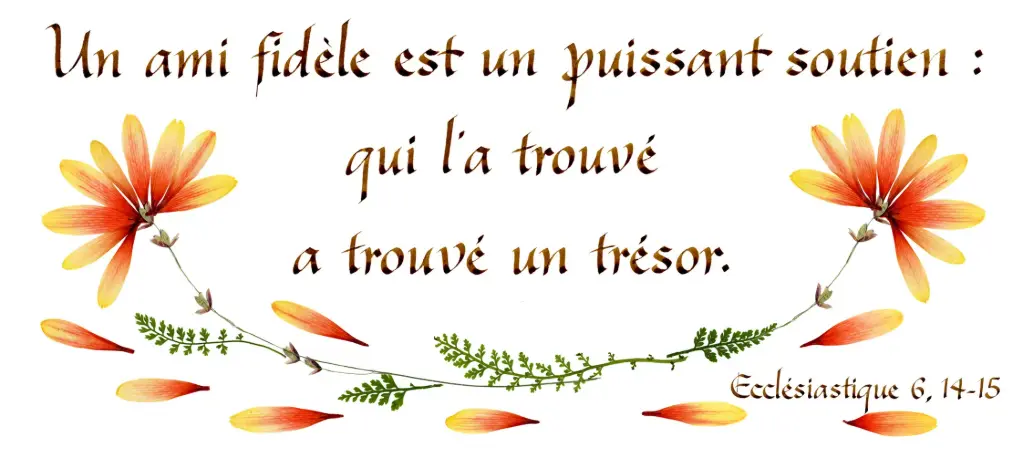 Kaart serie 'Citations - L'Amitié' - 'Un ami fidèle est...' - 10,5x21cm + envel.