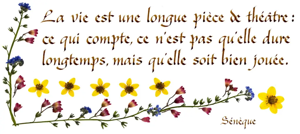 Carte série 'Citations - La Vie' - 'La vie est une longue...' - 10,5x21cm + envel.