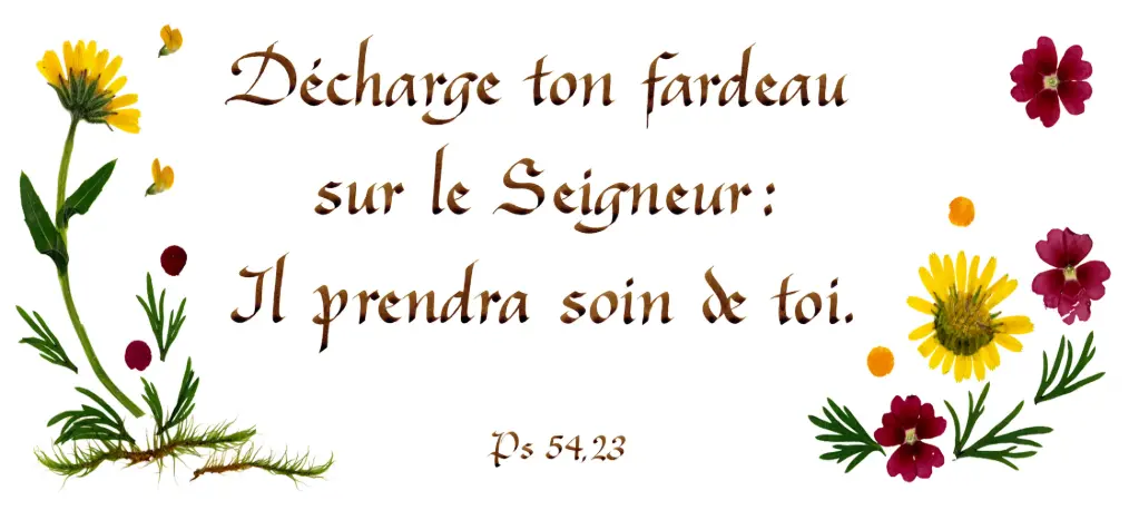 Carte série 'Citations - Psaumes' - 'Décharge ton fardeau...' - 10,5x21cm + envel.