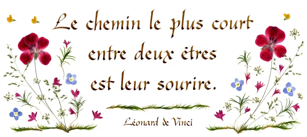 Carte série 'Citations - L'Amour' - 'Le chemin le plus court...' - 10,5x21cm + envel.