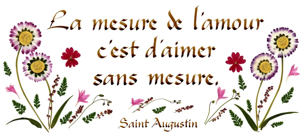 Carte série 'Citations - L'Amour' - 'La mesure de l'amour...' - 10,5x21cm + envel.