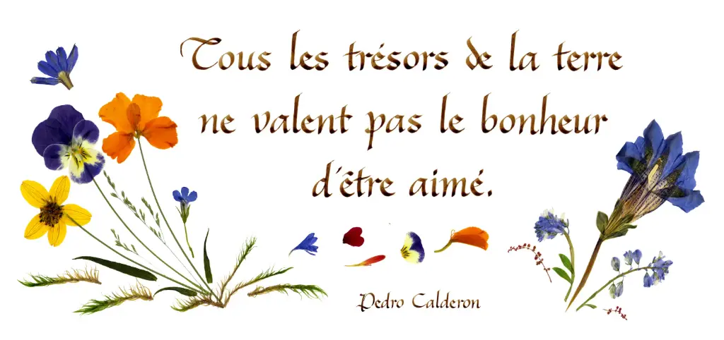 Kaart serie 'Citations - L'Amour' - 'Tous les trésors de la terre...' - 10,5x21cm + envel.