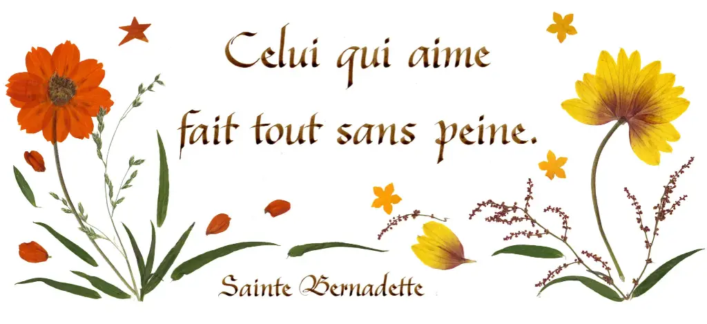 Carte série 'Citations - L'Amour' - 'Celui qui aime...' - 10,5x21cm + envel.