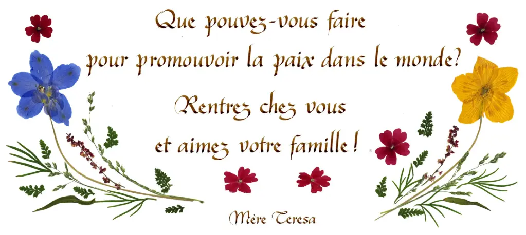 Kaart serie 'Citations - L'Amour' - 'Que pouvez-vous faire...' - 10,5x21cm + envel.