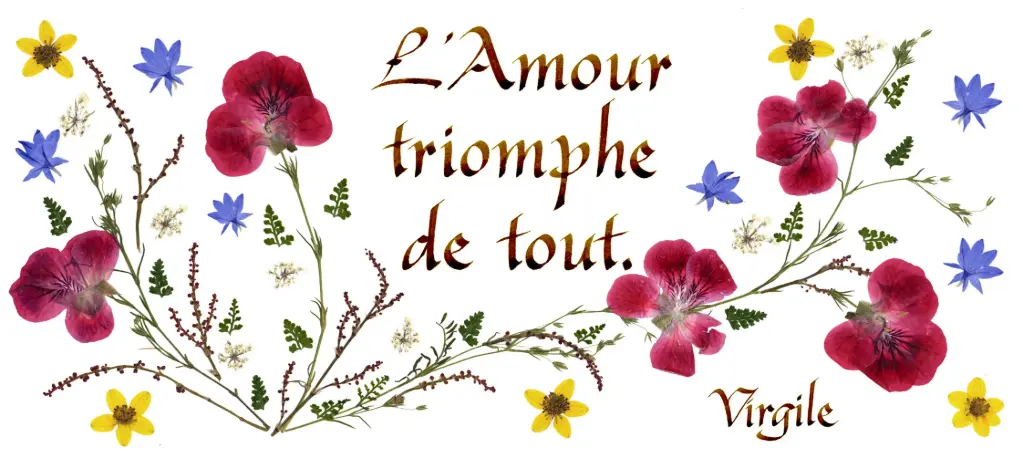 Carte série 'Citations - L'Amour' - 'L'Amour triomphe de tout' - 10,5x21cm + envel.