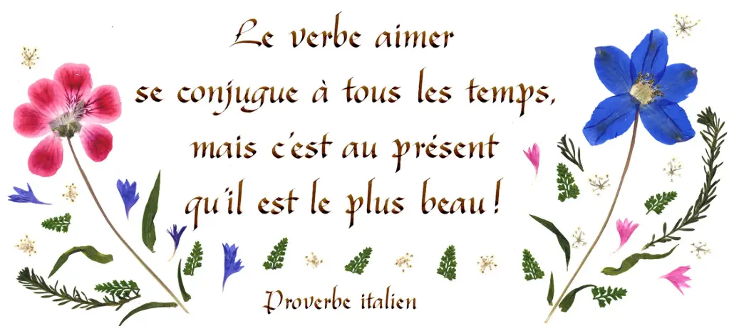 Carte série 'Citations - L'Amour' - 'Le verbe aimer ...' - 10,5x21cm + envel.