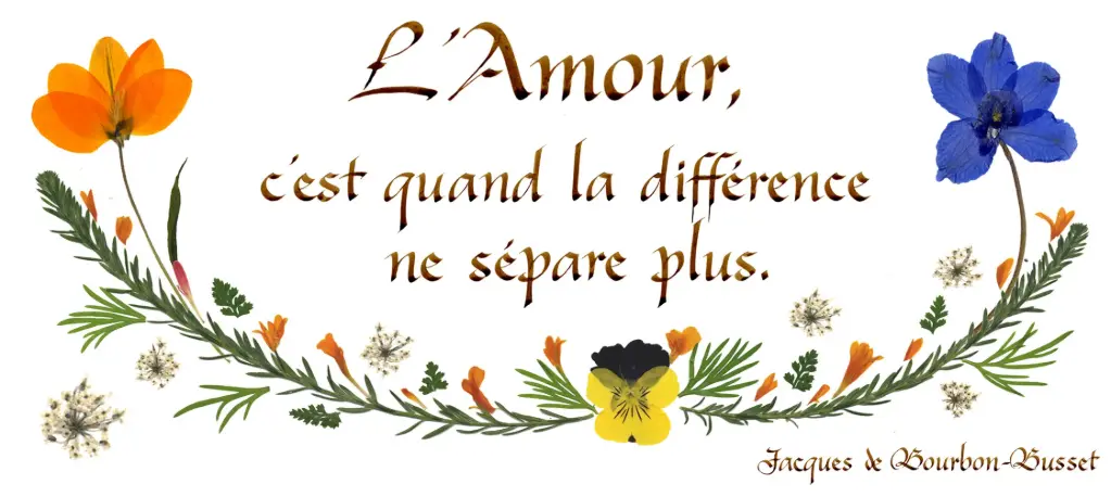 Carte série 'Citations - L'Amour' - 'L'Amour c'est quand...' - 10,5x21cm + envel.