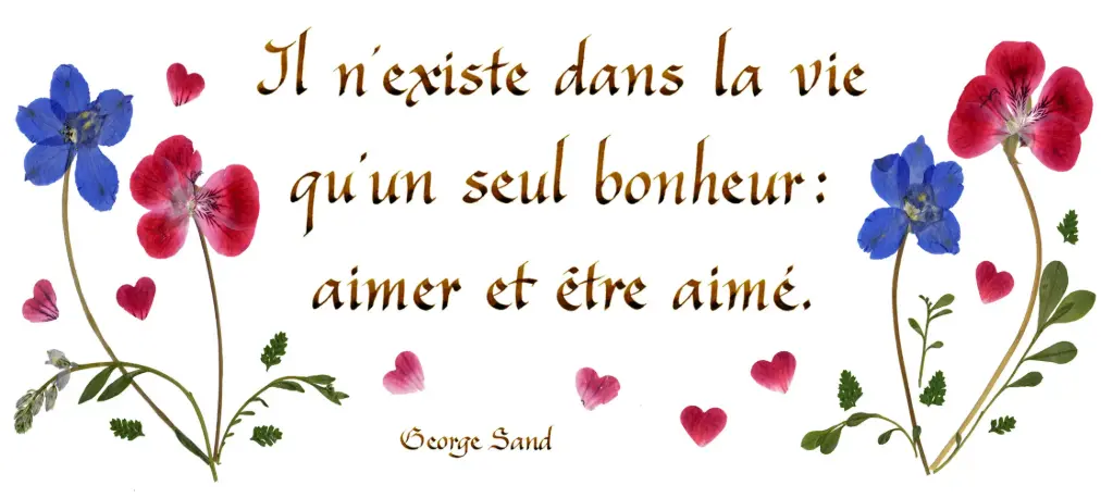 Carte série 'Citations - L'Amour' - 'Il n'existe dans la vie...' - 10,5x21cm + envel. 
