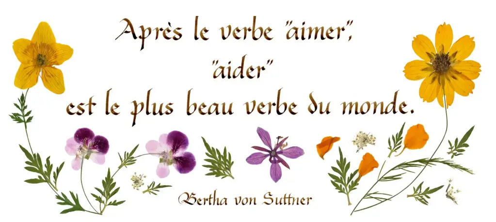 Kaart serie 'Citations - L'Amour' - 'Après le verbre"aimer"...' - 10,5x21cm + envel.