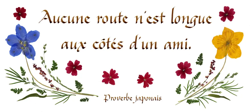 Carte série 'Citations - L'Amitié' - 'Aucune route n'est longue...' - 10,5x21cm + envel.