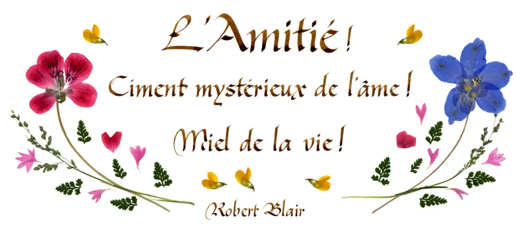 Carte série 'Citations - L'Amitié' - 'L'Amitié! Ciment...' - 10,5x21cm + envel.