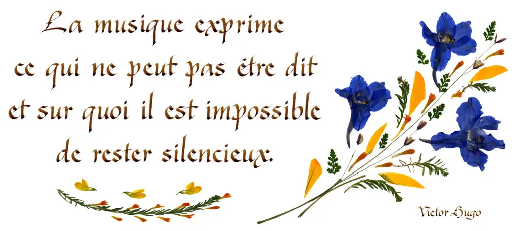 Carte série 'Citations - Le Bonheur' - 'La musique exprime...' - 10,5x21cm + envel.