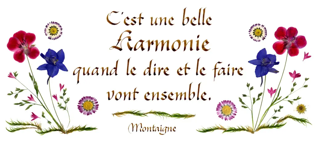 Carte série 'Citations - La Beauté' - 'C'est une belle harmonie...' - 10,5x21cm + envel.