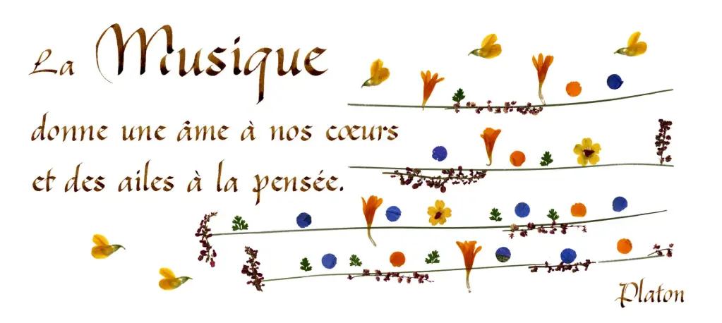 Kaart serie 'Citations - La Beauté' - 'La musique donne une âme...' - 10,5x21cm + envel.