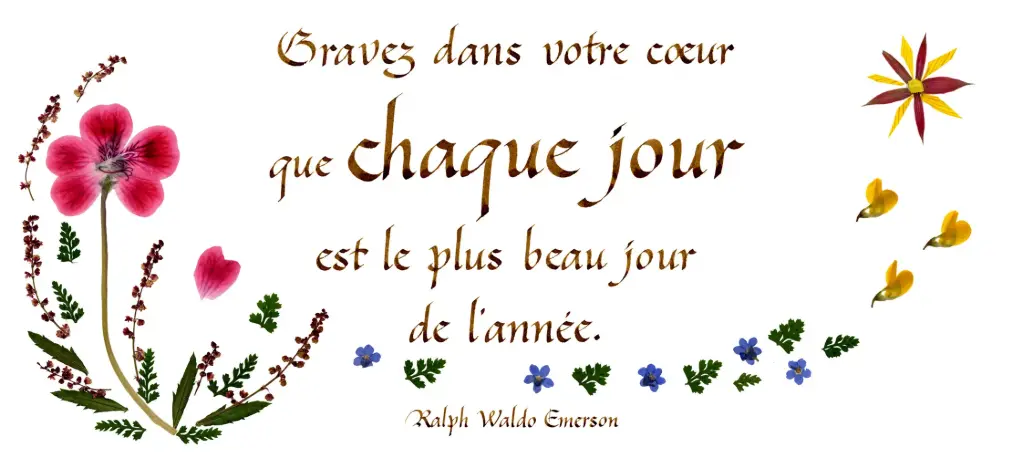 Kaart serie 'Citations - La Beauté' - 'Bravez dans votre coeur...' - 10,5x21cm + envel.