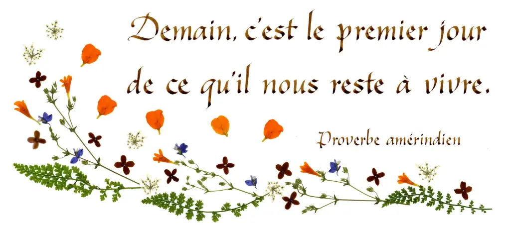 Kaart serie 'Citations - La Vie' - 'Demain, c'est le premier...' - 10,5x21cm + envel.