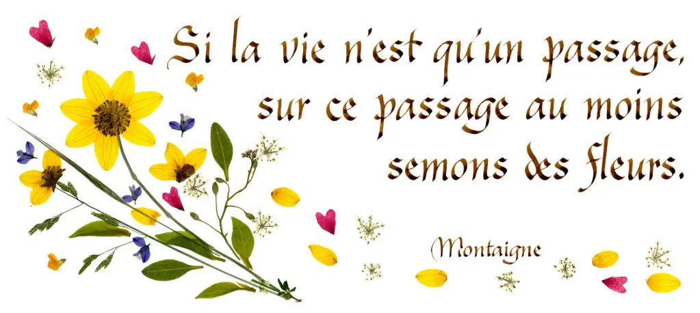 Kaart serie 'Citations - La Vie' - 'Si la vie n'est qu'un passage...' - 10,5x21cm + envel.