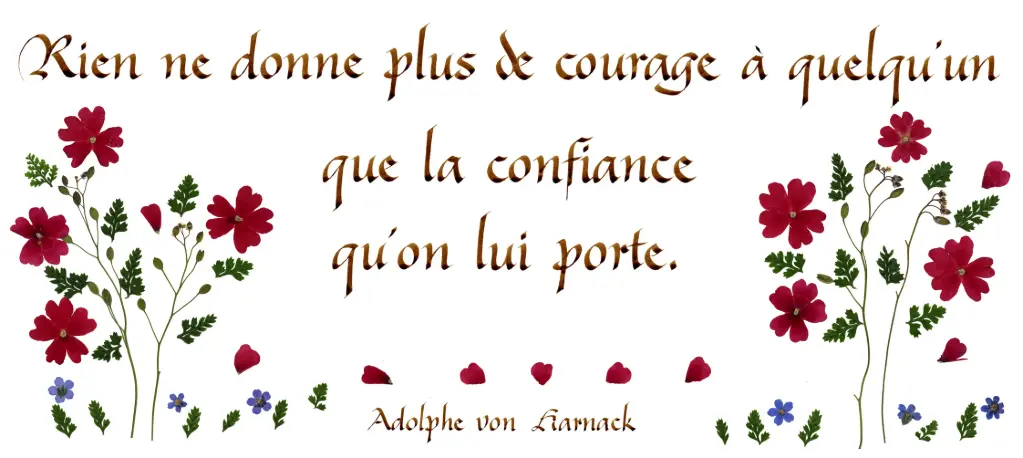 Carte série 'Citations - La Vie' - 'Rien ne donne plus de courage...' - 10,5x21cm + envel.
