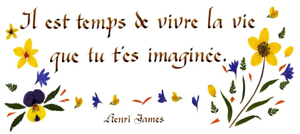 Kaart serie 'Citations - La Vie' - 'Il esttemps de vivre...' - 10,5x21cm + envel.