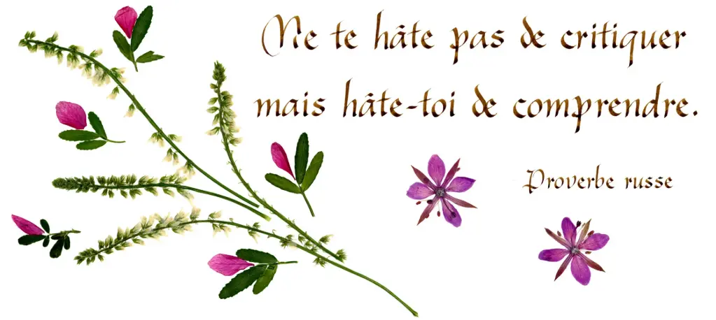 Carte série 'Citations - La Vie' - 'Ne te hâte pas de critiquer...' - 10,5x21cm + envel.