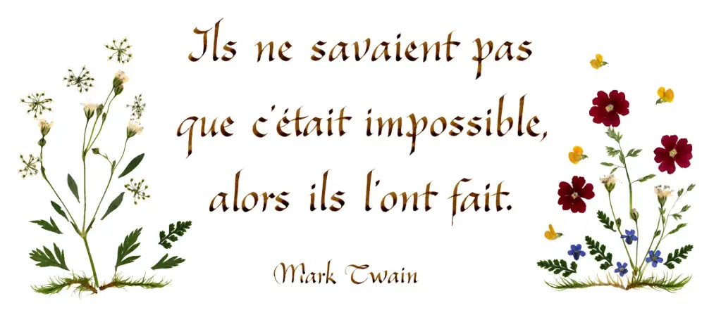 Carte série 'Citations - La Vie' - 'Ils ne savaient pas...' - 10,5x21cm + envel.
