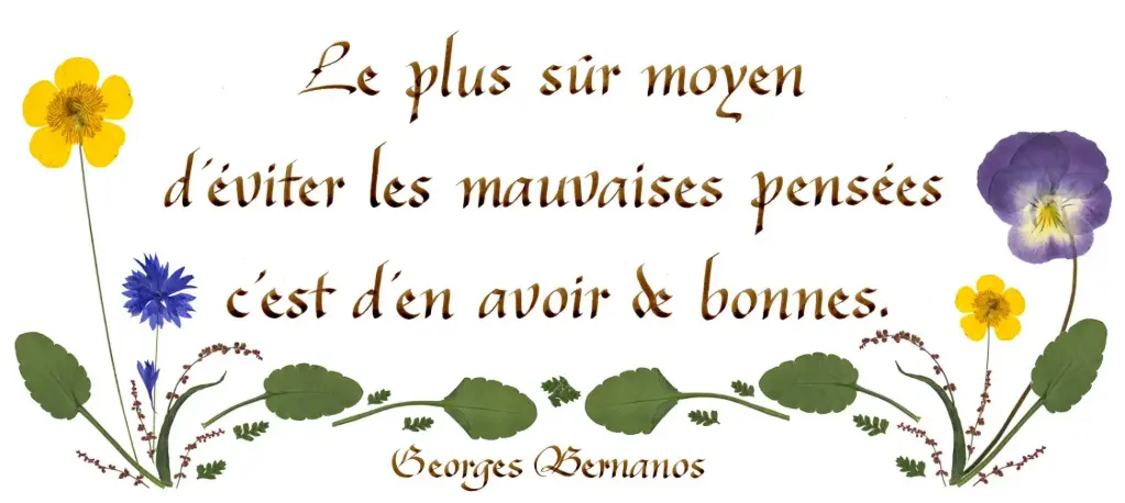 Carte série 'Citations - Sagesse' - 'Le plus sûr moyen d'éviter...' - 10,5x21cm + envel.