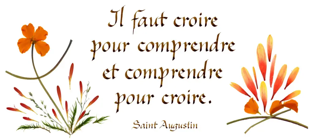 Kaart serie 'Citations - Spiritualité' - 'Il faut croire pour comprendre...' - 10,5x21cm + envel.