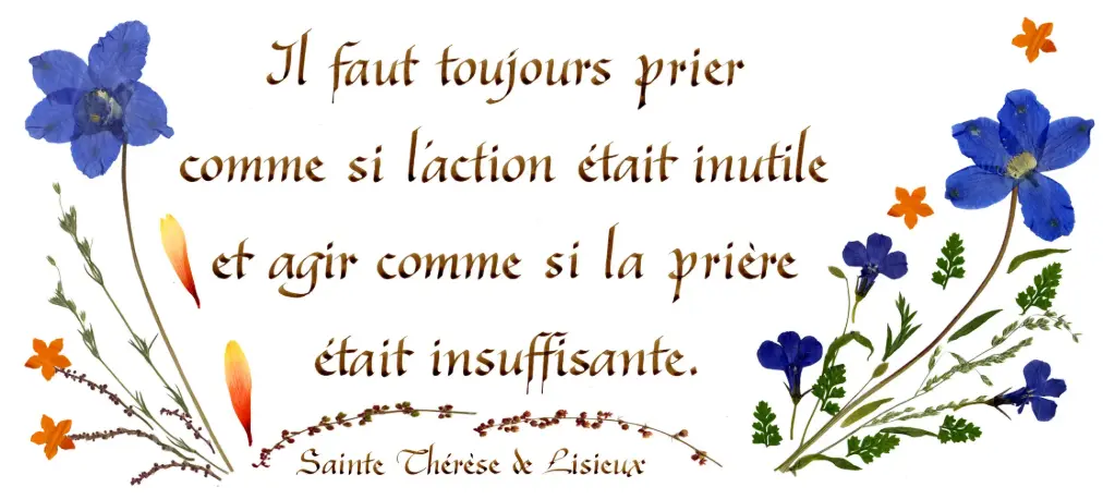 Carte série 'Citations - Spiritualité' - 'Il faut toujours prier...' - 10,5x21cm + envel.