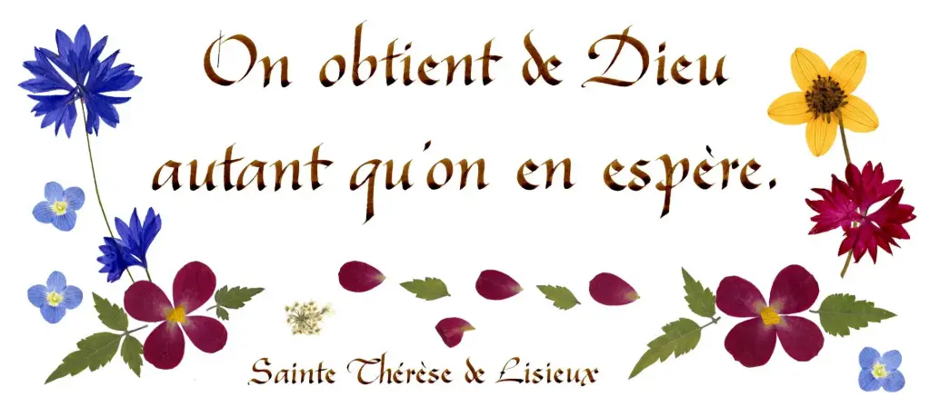 Carte série 'Citations - Spiritualité' - 'On obtient de Dieu...' - 10,5x21cm + envel.