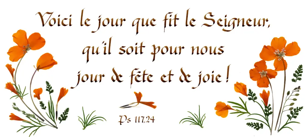 Carte série 'Citations - Psaumes' - 'Voici le jour que fit...' - 10,5x21cm + envel.