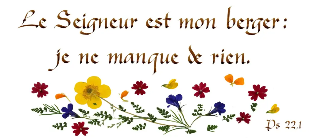 Carte série 'Citations - Psaumes' - 'Le Seigneur est mon berger...' - 10,5x21cm + envel.