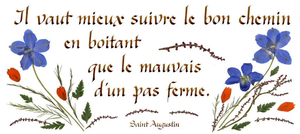 Carte série 'Citations - Divers' - 'Il vaut mieux suivre...' - 10,5x21cm + envel.