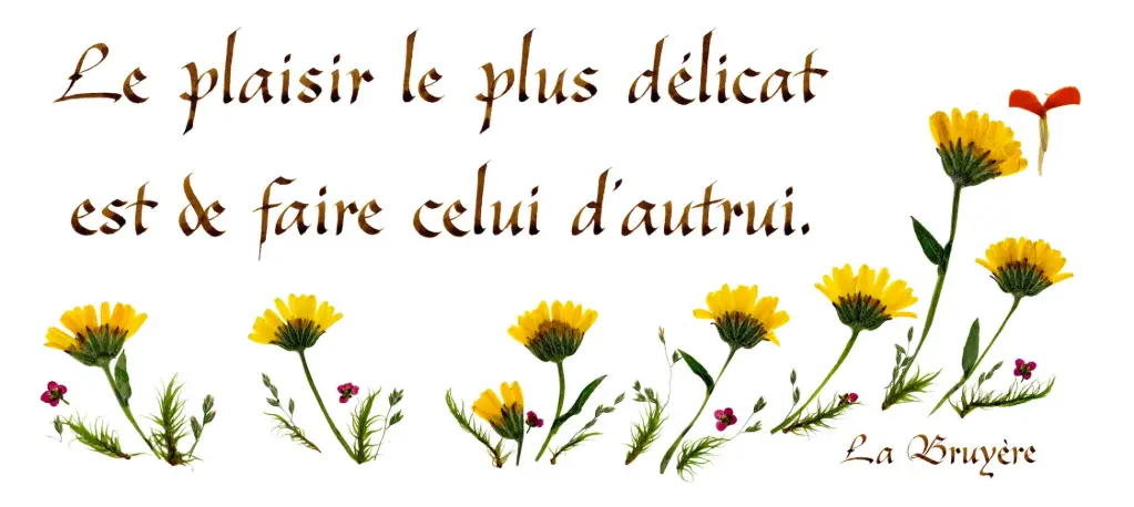 Kaart serie 'Citations - Divers' - 'Le plaisir le plus délicat...' - 10,5x21cm + envel.