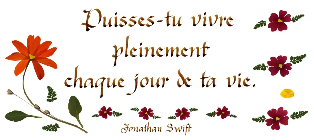 Kaart serie 'Citations - Divers' - 'Puisses-tu vivre pleinement...' - 10,5x21cm + envel.
