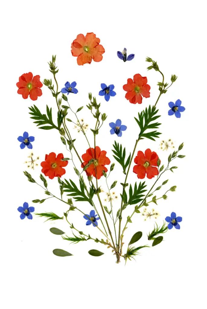 Carte double série 'Fleurs séchées' - model 003 - 10x15cm + envel.