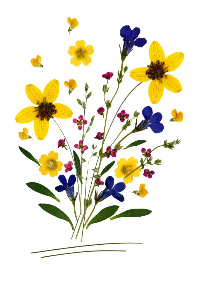 Dubbelkaart serie 'Fleurs séchées' - model 018 - 10x15cm + envel.