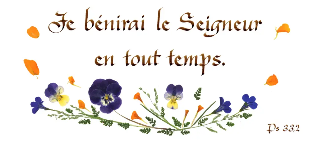 Kaart serie 'Citations - Psaumes' - 'Je bénirai le Seigneur...' - 10,5x21cm + envel.