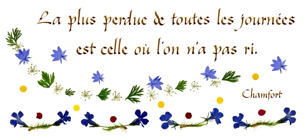 Kaart serie 'Citations - La Vie - 'La plus perdue de ...' - 10,5x21cm + envel.