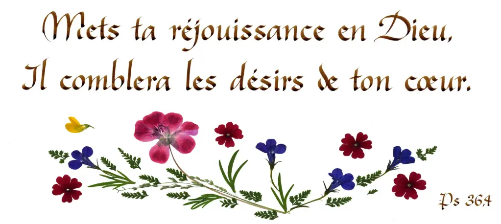 Carte série 'Citations - Psaumes' - 'Mets ta réjouissance...' - 10,5x21cm + envel.
