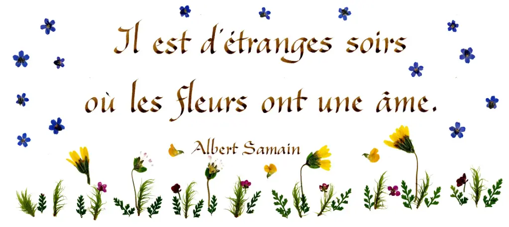 Kaart serie 'Citations - Divers' - 'Il est d'étranges soirs' - 10,5x21cm + envel.