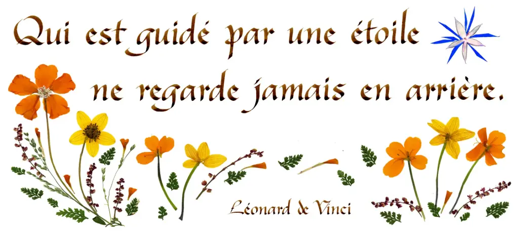 Kaart serie 'Citations - Divers' - 'Qui est guidé par...' - 10,5x21cm + envel.