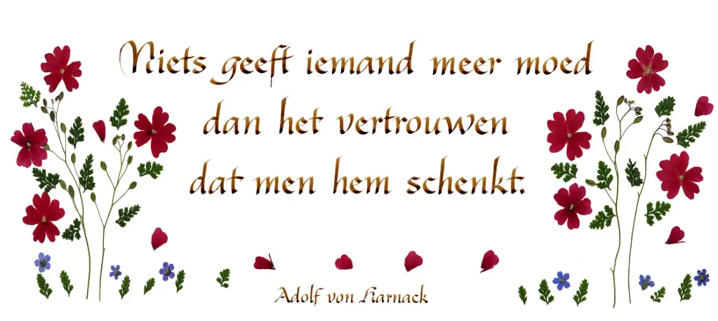 Kaart serie 'Citations - NL - 'Niets geeft iemand meer moed...' - 10,5x21cm + envel.