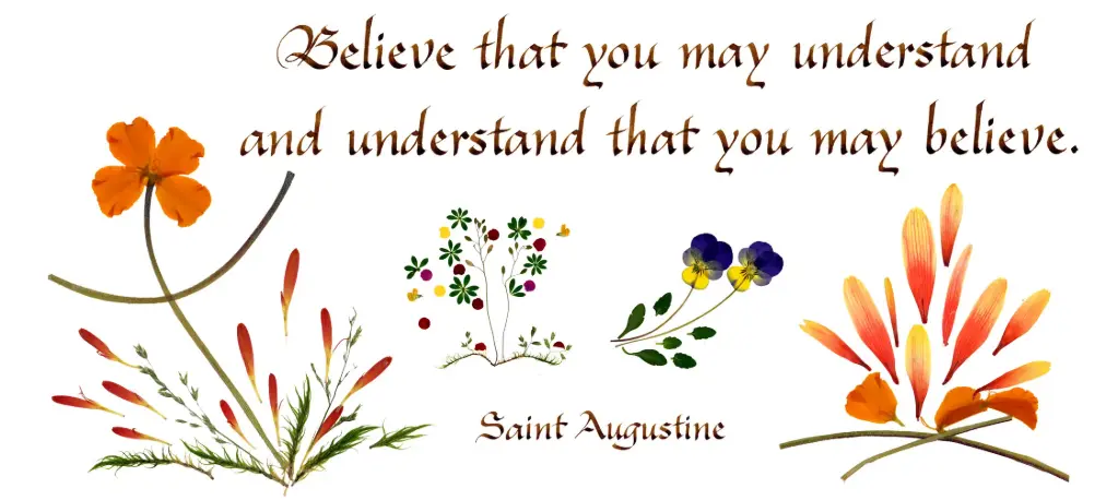 Carte série 'Citations - GB - 'Believe that you may understand...' - 10,5x21cm + envel.