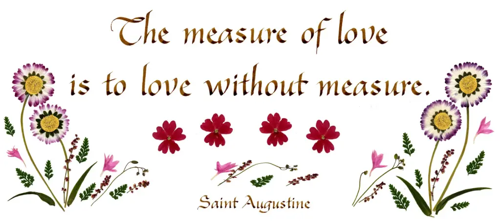Kaart serie 'Citations - GB - 'The measure of love...' - 10,5x21cm + envel. 