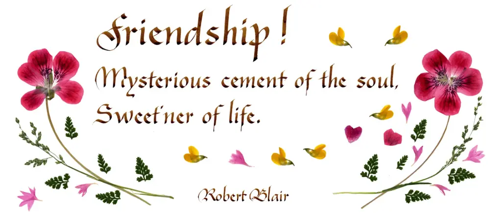 Carte série 'Citations - GB - 'Friendship! ...' - 10,5x21cm + envel.