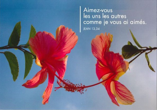 [CRT-21CS199] Carte simple - 10x15cm - Aimez-vous les uns...