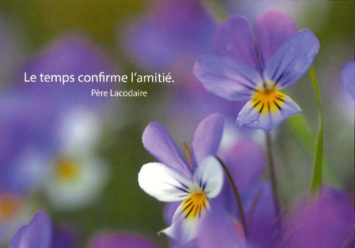 [CRT-21CS205] Carte simple - 10x15cm - Le temps confirme...