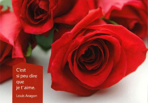 [CRT-21CS206] Carte simple C'est si peu dire - CS206