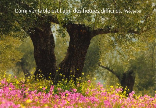 [CRT-21CS214] Carte simple - 10x15cm - L'ami véritable...