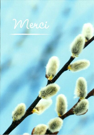 [CRT-21CS222] Carte simple - 10x15cm - Merci